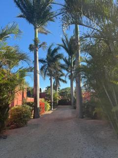 Villa Coco Chic - Piscine privée - Paradis Tropical - 2