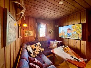 Ski in-out cabin Trysil sauna, fireplace and views - 2