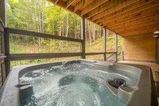 Multi Level Getaway Pool Hot Tub and Fireplace - 8