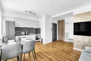 Panorama Apartment & Terrace in Bratislava Center - 4
