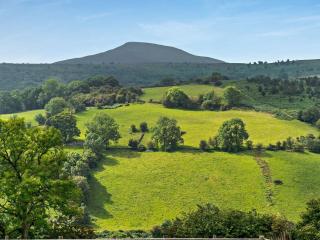 1 Bed in Abergavenny BN184 - 8