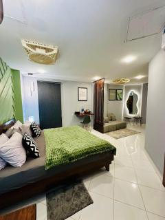 Luxury Studio Apartment - 5