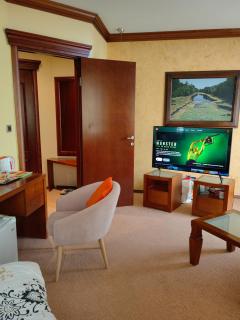 Premium Presidental Residence - 9