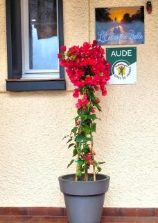 L'echappee belle - 6