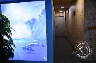 Dolphin Hotel & Hostel - 2