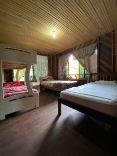 Piatua River Guest House - 5