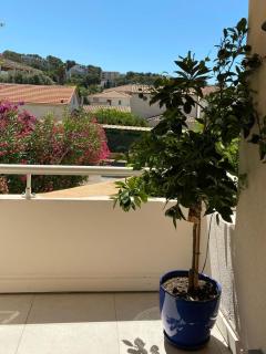 Le saint pierre St Mandrier - Saint-Mandrier-sur-Mer - 8