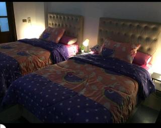 Private Family Apartment in Dokki - El Cairo - 5