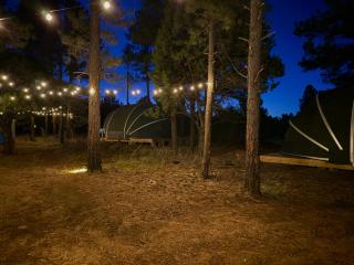 Cold Nights, Clear Skies - Mountain Escape - 6