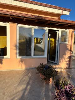 Tra gli ulivi - 4