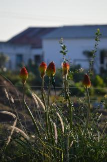 The Old Dairy at Allemanskloof - 3
