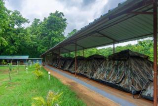 Dandeli Green Adventure Resort - 8