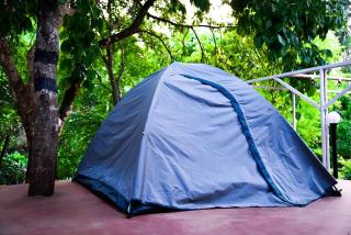 Dandeli Green Adventure Resort - 2