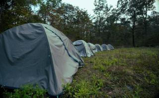 Dandeli Green Adventure Resort - 1