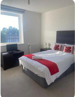 Urban Nest London Private Room in a 2 bedroom with Private bathroom - 2