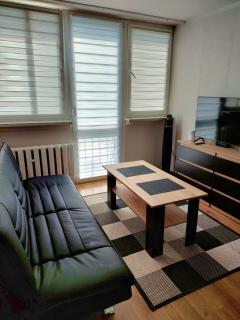 Apartament 59 , ranczoturystyka Bielawa Sudety - 3