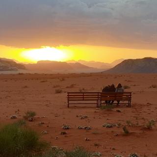 Real Bedouin Experience Tours & Camp - 0