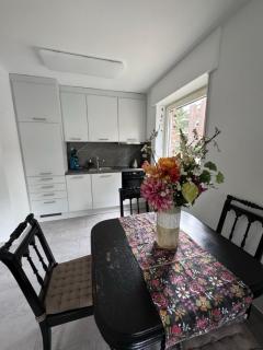 Schwarzer Schwan - 2