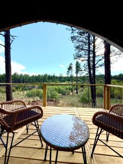 Winter Glamping Under the Manzano Stars - 7