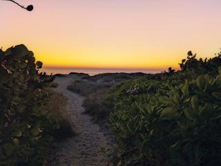 2 Minute Walk to Beach & Downtown! - 4