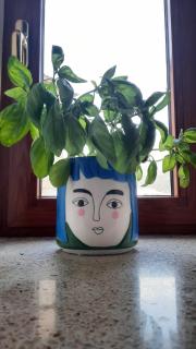 Palazzo Sandù Dimora nel Borgo - 2