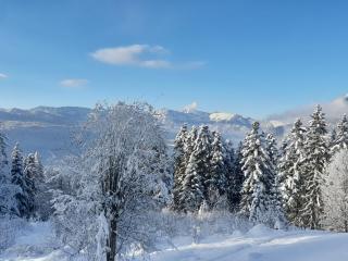 Sonneckalm in Berchtesgaden - 7