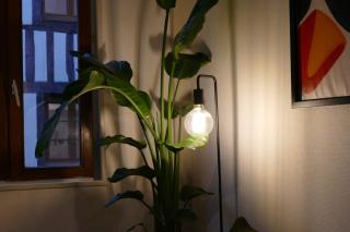 Appartement Confort en Couleurs - 1