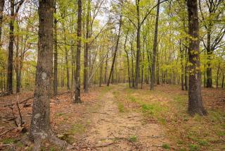 Timber Ridge Retreat - 2