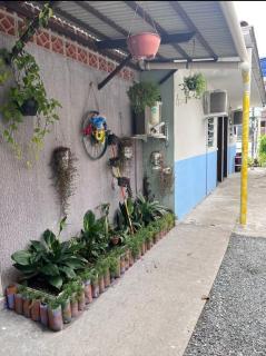 Hostel Boa Vista - Joinville - 6