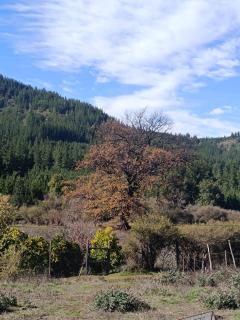 Hotel Estancia Don Domingo - 2