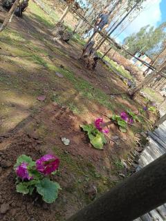 Hotel Estancia Don Domingo - 1