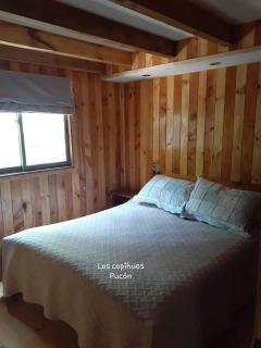 Cabaña los copihues pucón - Pucón - 5