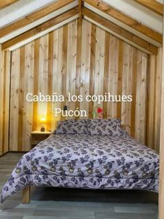 Cabaña los copihues pucón para 2 personas - 2