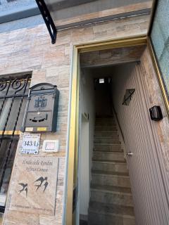 Il nido delle rondini - 1