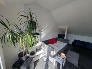 Zimmer "Ölberg" im Siebengebirge - 9