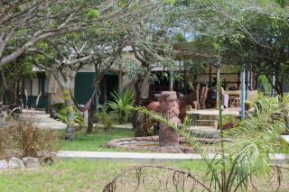 Resort Mikaju - 3