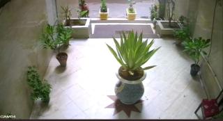 HOTEL CAMBCHIZAR ALEXANDRIa - 8