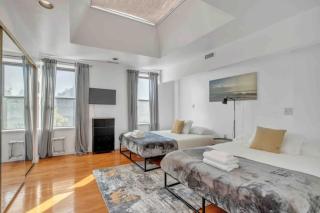 Large 3BR in Spring Garden - 5
