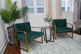Modern 2BR 420 Friendly in Chicago South Loop Near Museum Campus, McCormick Place and Soldier Field - 2
