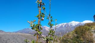 La Nave del Olvido - 6