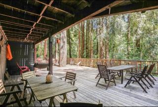 Norcal Hideaway - Dogs OK - 6