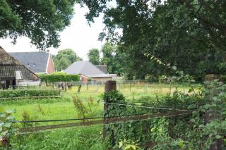 Het Centrum - Norg - 7