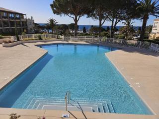 Ravissant T2 aux Issambres avec Piscine et Climatisation - FR-1-768-126 - 0