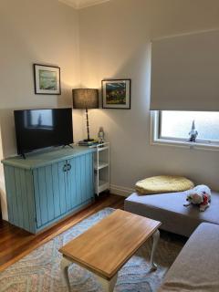 Family and pet friendly home in Brisbane - 3