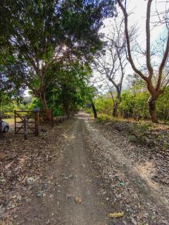 Coyolito Mountain - 5
