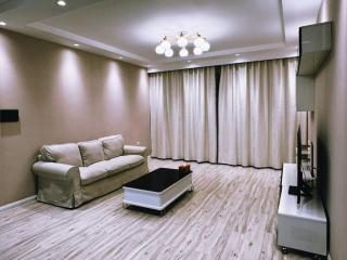 Cozy furnished Brand-New City Center UB Apartment - 8