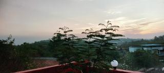 Harekar Villa - 2