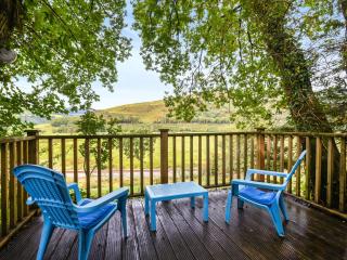 The Owl's Nest - Uk50546 - 0