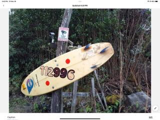 Simply convenient tropical country studio - 6