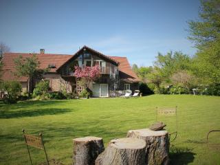 Loft with jacuzzi and sauna - Niderviller - 7
